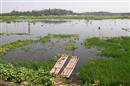 Waduk Jombor